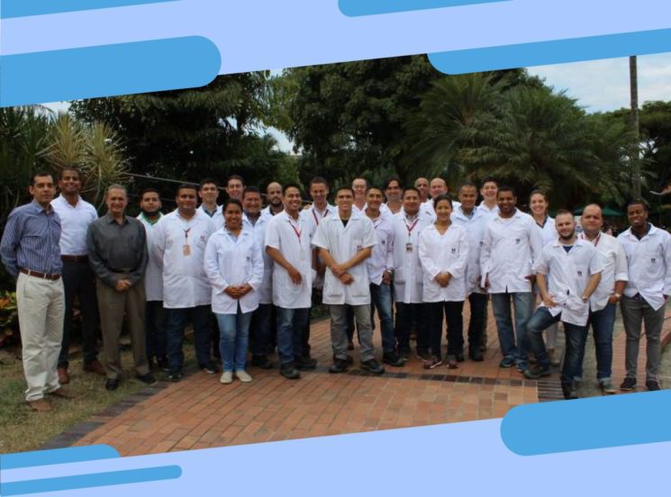 Proyectos labs