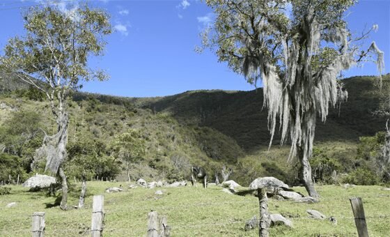 Renace el turismo de naturaleza en el Valle de Cauca