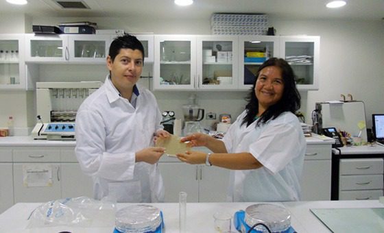 Bioplástico a base de pectina y almidón