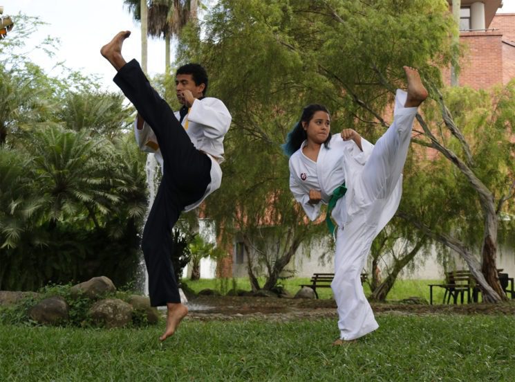 Karate – do