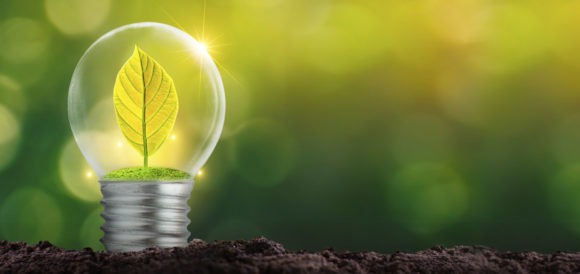 Maestría en Gestión Ambiental y Desarrollo Sostenible