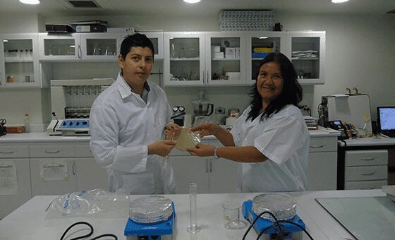 Del banano y otras frutas nace un bioplástico