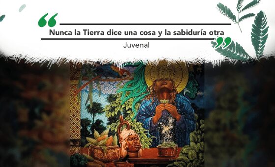 Cátedra: ‘Sabidurías de la Madre Tierra’