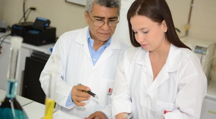 Grupos de investigación
