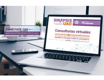 Consultorías virtuales para emprendedores