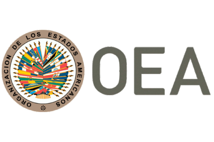 investigación de la OEA