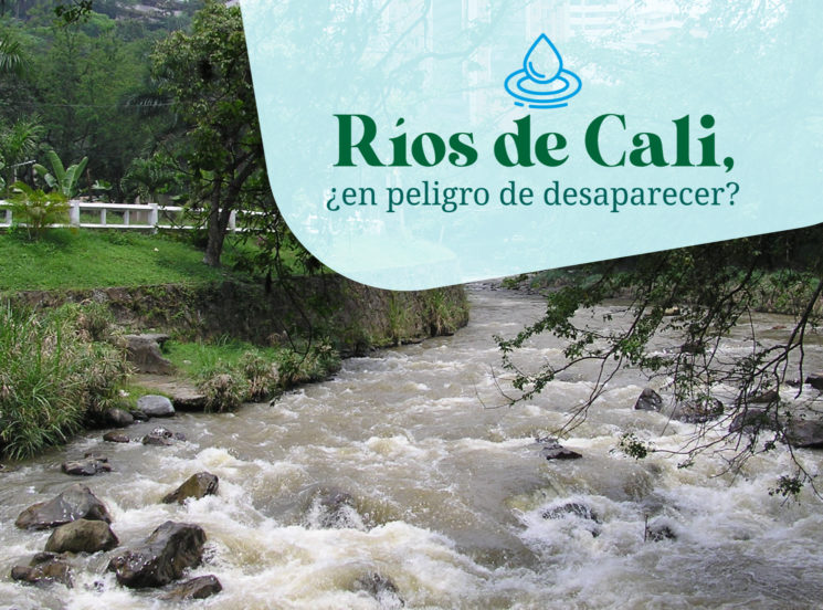 Ríos de Cali, ¿en peligro de desaparecer?