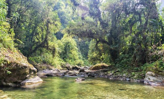 La experiencia de estudiantes de la UAO en la promoción de destinos turísticos del Valle