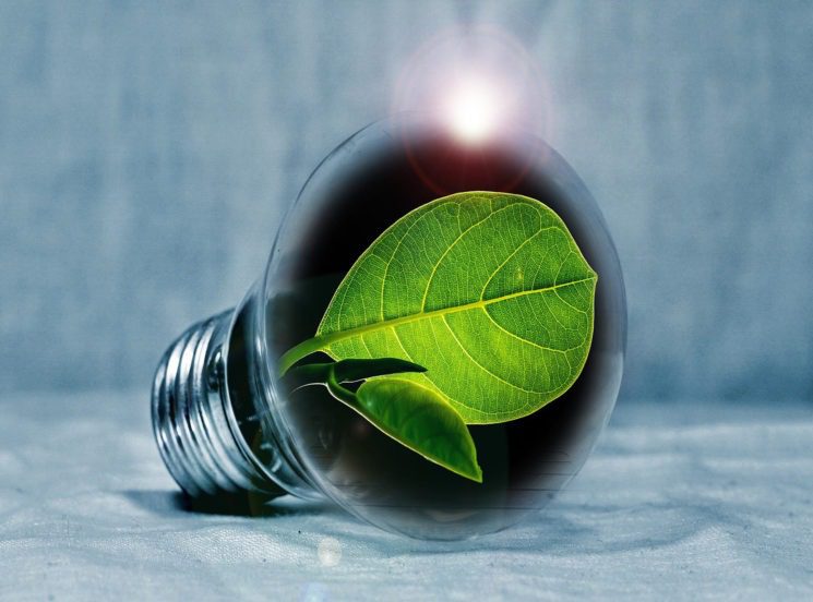 Maestría en Gestión Ambiental, soluciones innovadoras a los problemas socioambientales del territorio