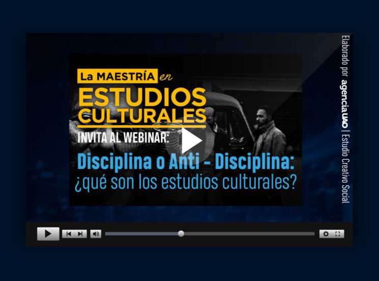 Disciplina o anti-disciplina: ¿qué son los estudios culturales?