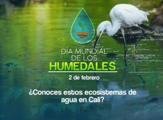 Día mundial de los humedales
