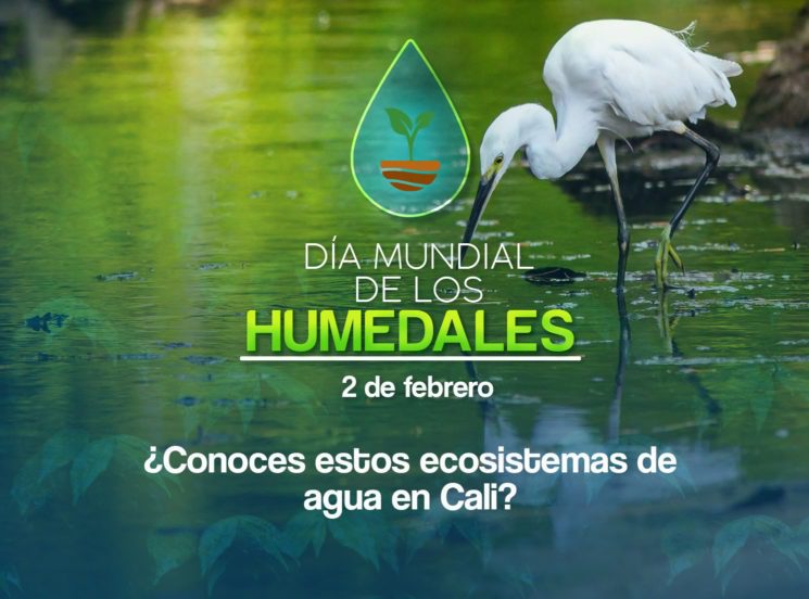 Día mundial de los humedales