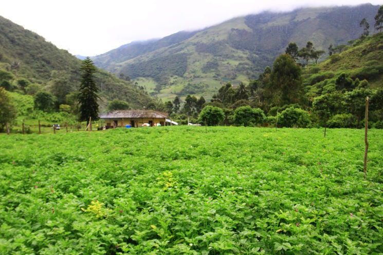 ¡Recorre el Valle del Cauca! Cinco destinos recomendados por la Escuela de Turismo UAO