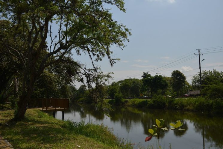 Humedal Lago Panamericano Cali