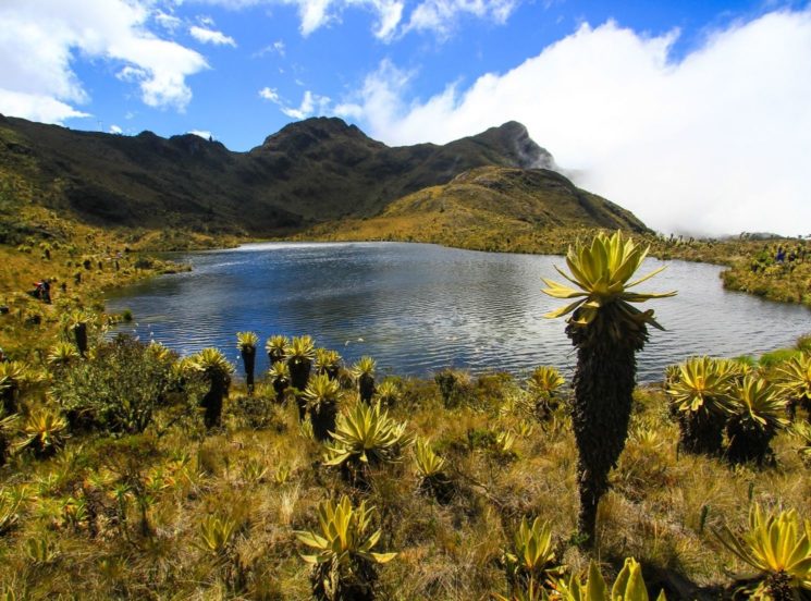 Destinos de paz, un programa de la UAO por el desarrollo local sostenible en el Valle del Cauca