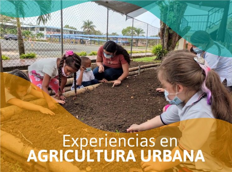 De la teoría a la práctica: conoce 3 huertos realizados en Agricultura Urbana