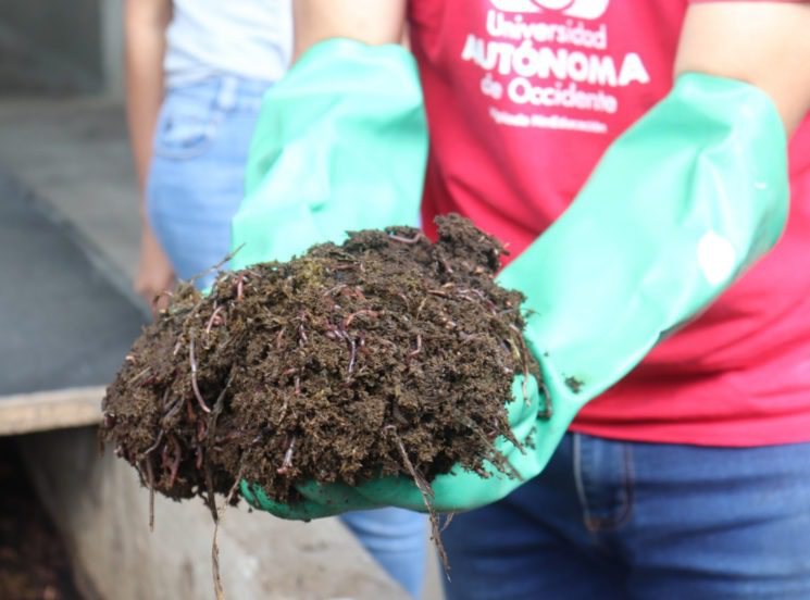 Proyecto de valorización de bio residuos de la UAO fue publicado en la Revista Lasirc