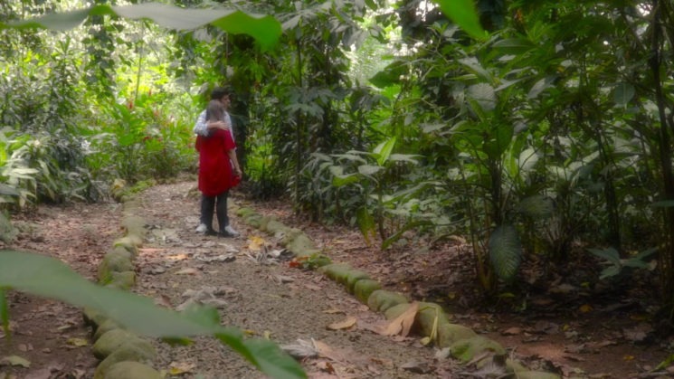 ‘Nunca dejaré de buscarte’, un cortometraje sobre desaparición forzada