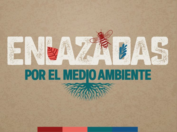 ‘Enlazadas por el medio ambiente’, el catálogo especializado desde la edición universitaria
