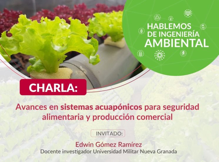 Conoce sobre los avances de los sistemas acuapónicos