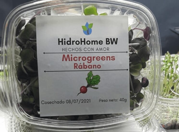 Hidrohome BW