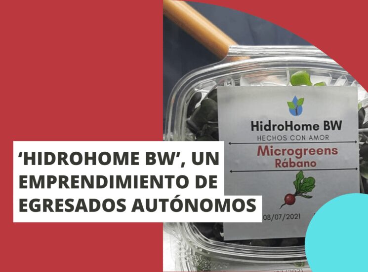‘Hidrohome BW’, un emprendimiento de egresados Autónomos
