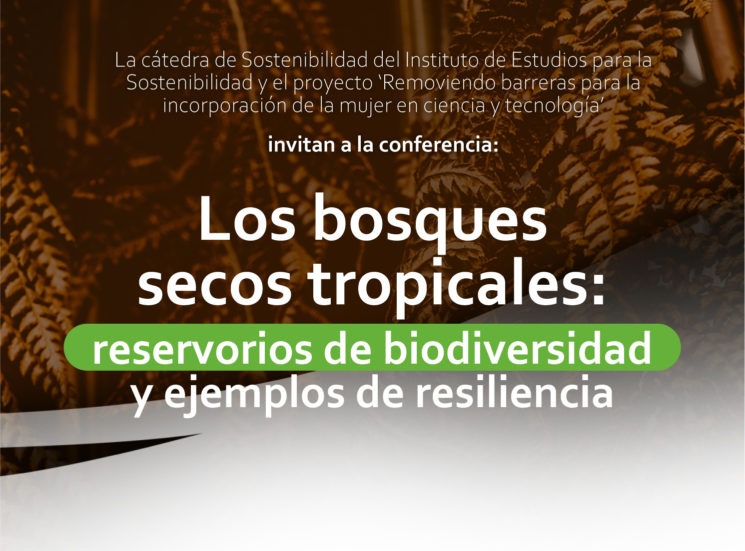 Cátedra de Sostenibilidad ‘Los bosques secos tropicales: reservorios de biodiversidad y ejemplos de resiliencia’