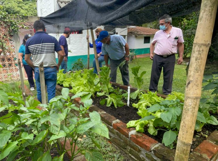 ‘De la huerta a tu mesa’: un modelo de producción y consumo de alimentos sanos y sostenibles
