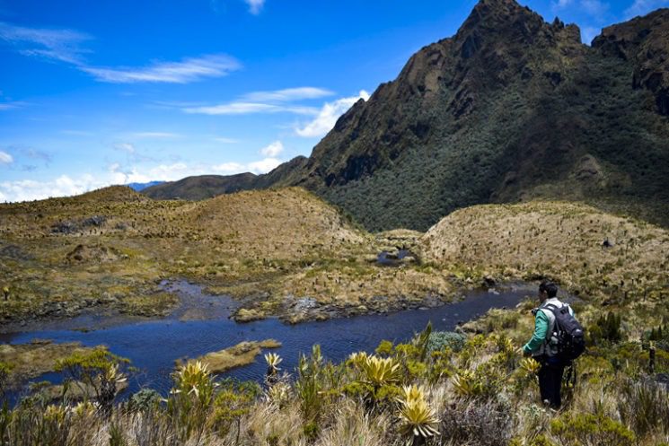 La UAO y una apuesta institucional por el desarrollo del turismo