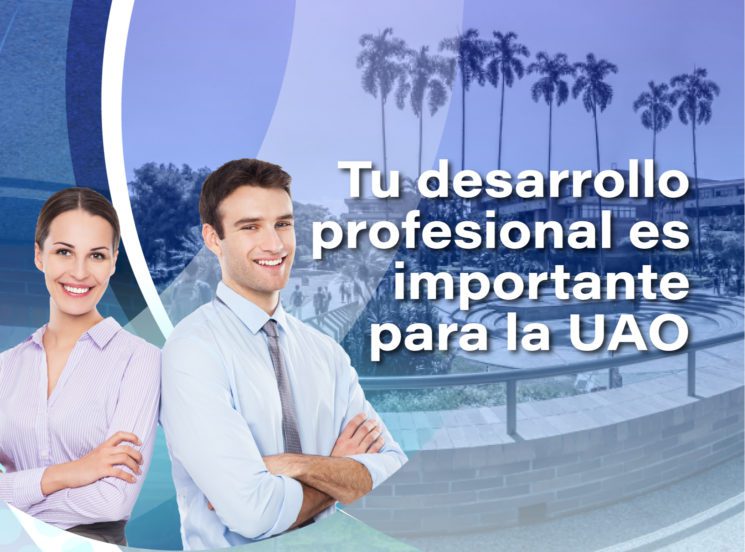 desarrollo