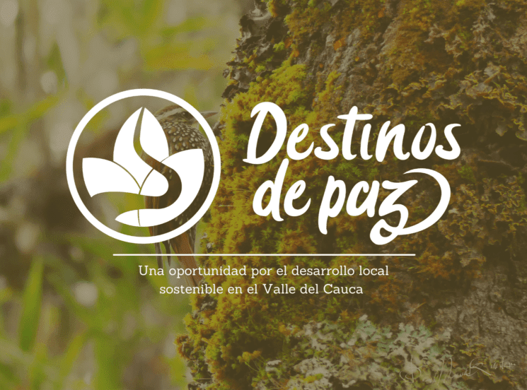 destinos de paz