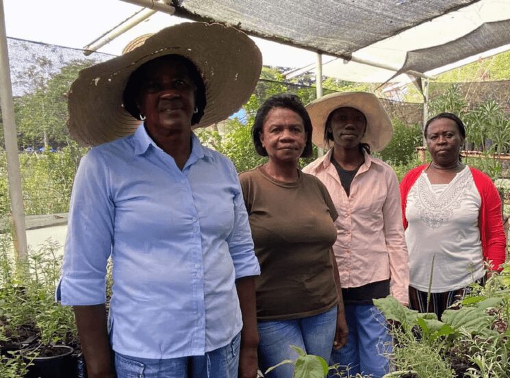 Saberes ancestrales desde las voces de las mujeres de roble