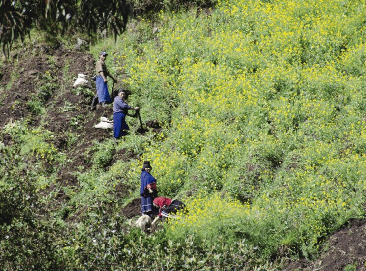 ‘Diálogo de saberes y sabidurías: una apuesta para la conservación de la diversidad biocultural’