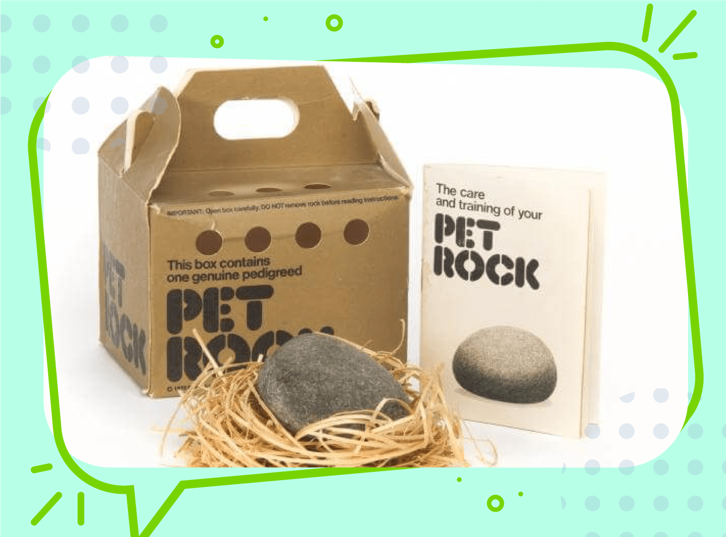 National Pet Rock Day! UAO Portal