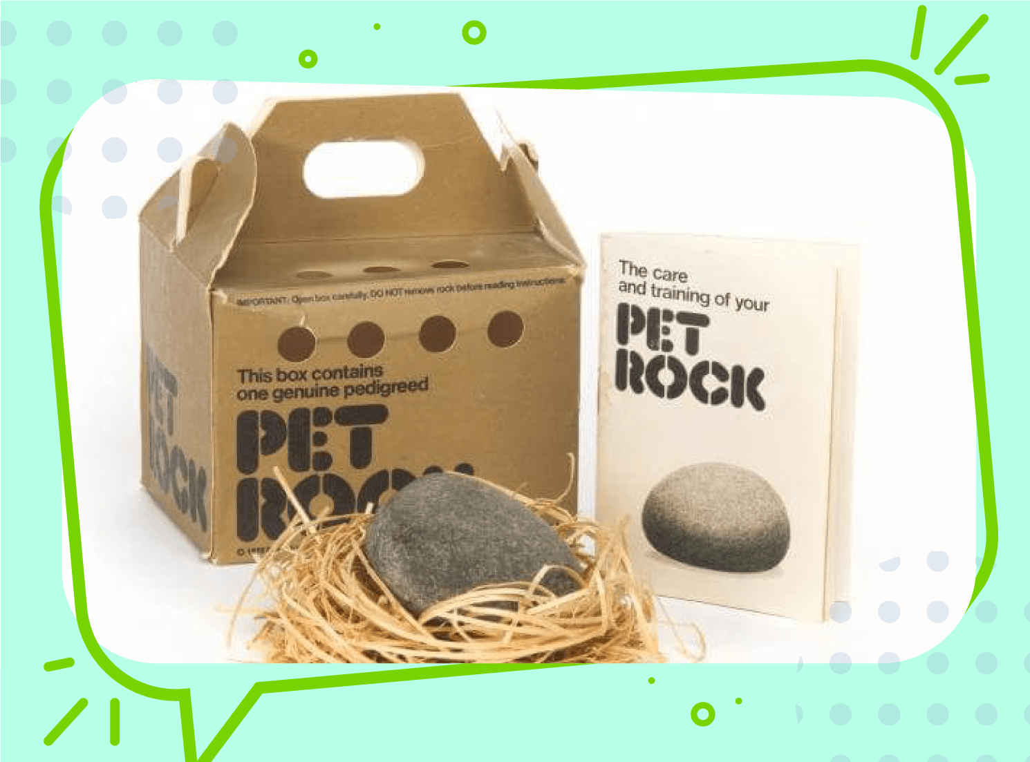 The Rise and Fall of the Pet Rock: A Look Back at the 1975 Holiday