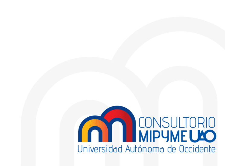 consultorio mipyme