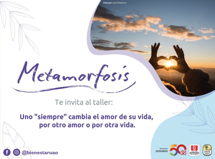 Metamorfosis te enseña: todo es temporal