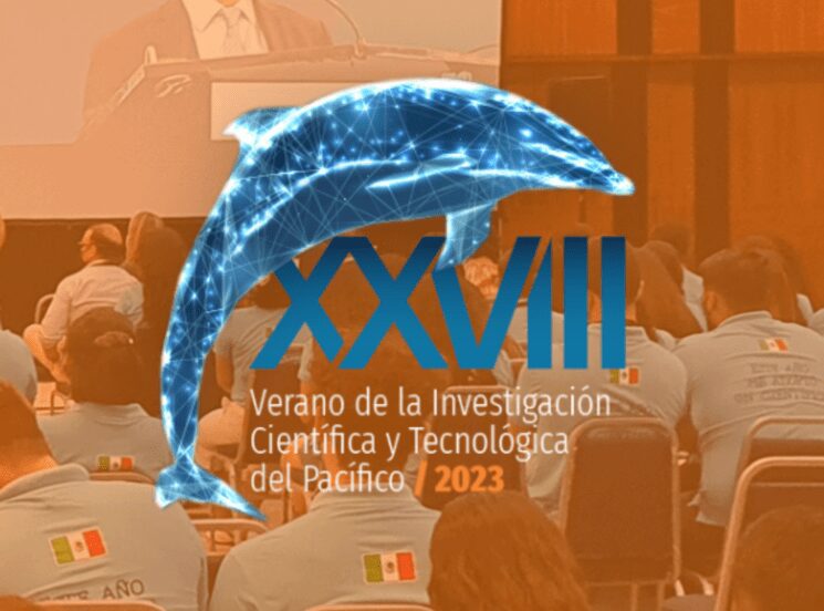 Estudiantes UAO, en el programa Delfín 2023