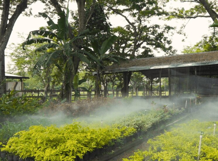 Manejo ambiental de la Universidad Autónoma