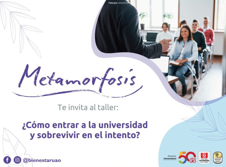 ¿Cómo entrar a la universidad y sobrevivir en el intento?