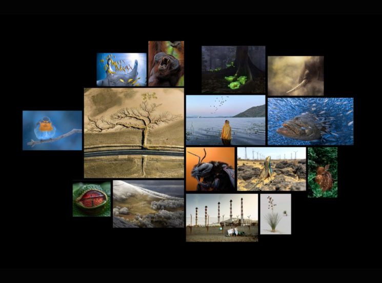 Está abierta la convocatoria para el Concurso Mundial de Fotografía 2023