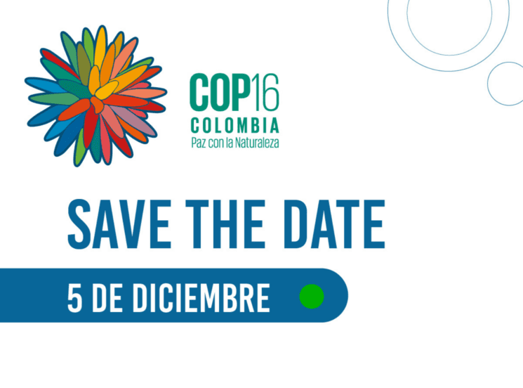 Asiste al Foro de cierre de la agenda académica de la COP16