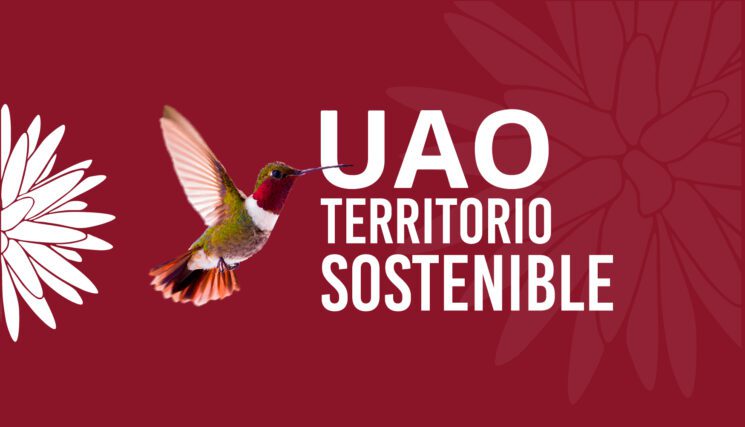 UAO y universidades del Pacífico impulsan formación doctoral con enfoque territorial y diferencial