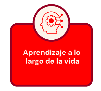 Aprendizaje a lo largo de la vida