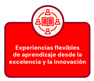 Experiencias flexibles de aprendizaje desde la excelencia y la innovación