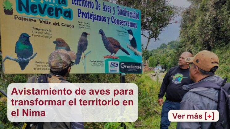 Avistamiento de aves para transformar el territorio en el Nima