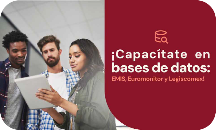 Formación y Actualización Profesional
