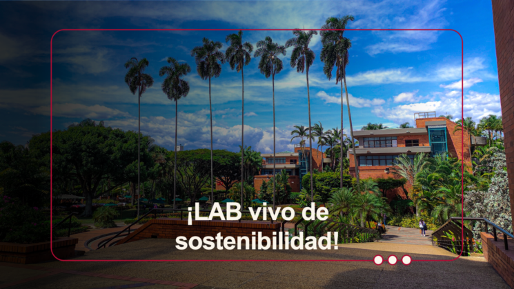 Educación para toda la comunidad 