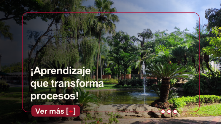 ¡Nuevos aprendizajes que transforman procesos!