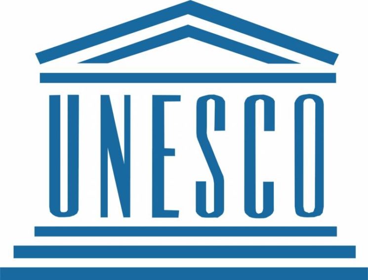 Realice su trabajo práctico en una de las áreas prioritarias de la UNESCO